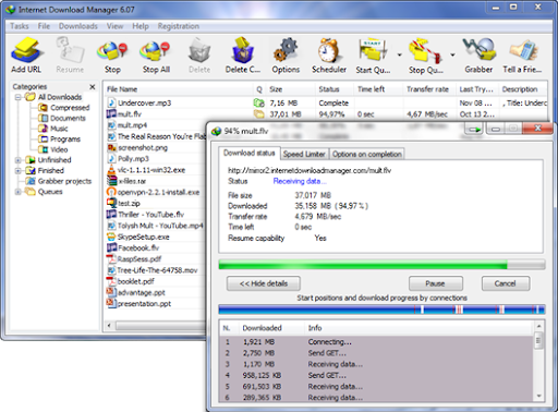idm 6.11 final build 5 preactivated version